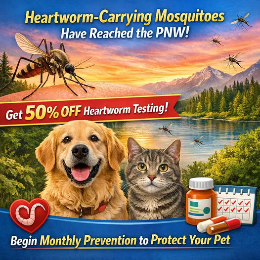 Heartworm & mosquitoes